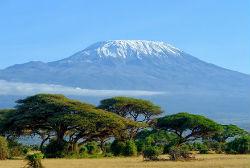 kilimanjaro